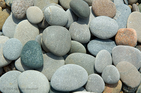 Lake Erie Beach Pebbles
