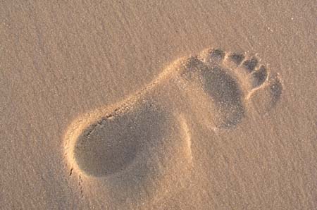 12_footprint